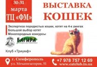 Выставка кошек в Торговом центре ФМ в марте