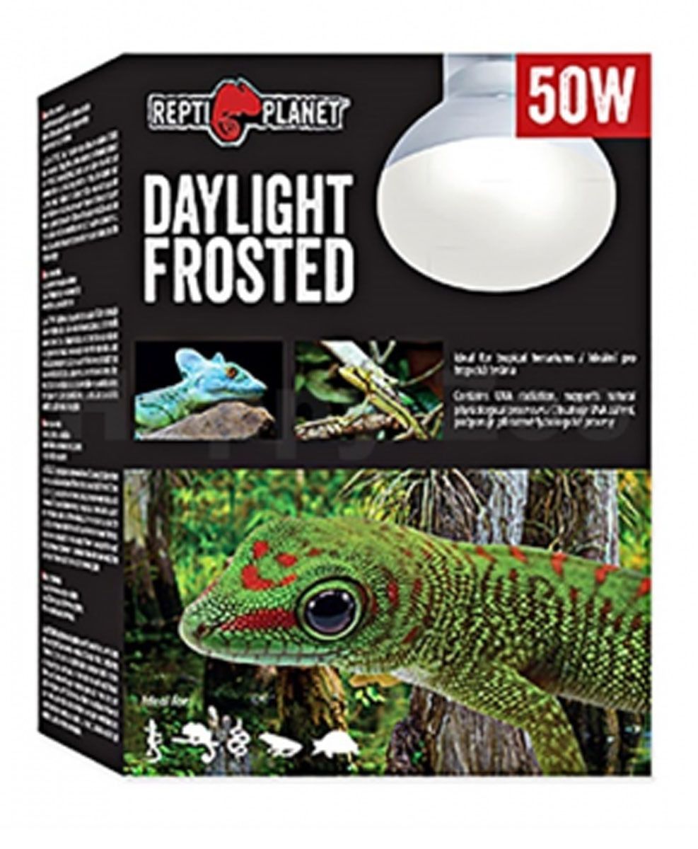 Матовая лампа дневного света 50W							 фото, цены, купить