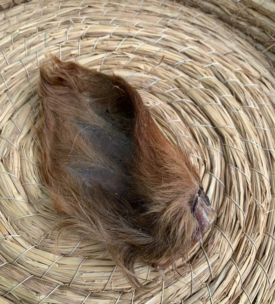 Лакомства AKARA BAR Уши говяжьи 500г фото, цены, купить