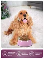 Zoogurman Special line сухой корм для собак с говядиной 0,6кг фото, цены, купить