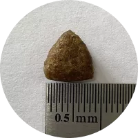 ZooRing Mini Dog Exigent Телятина, рис, тыква для привередливых  собак мини пород 700г фото, цены, купить