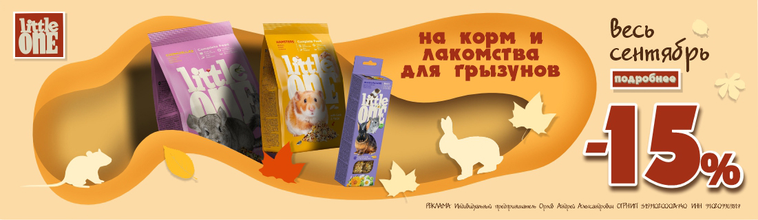 Литл