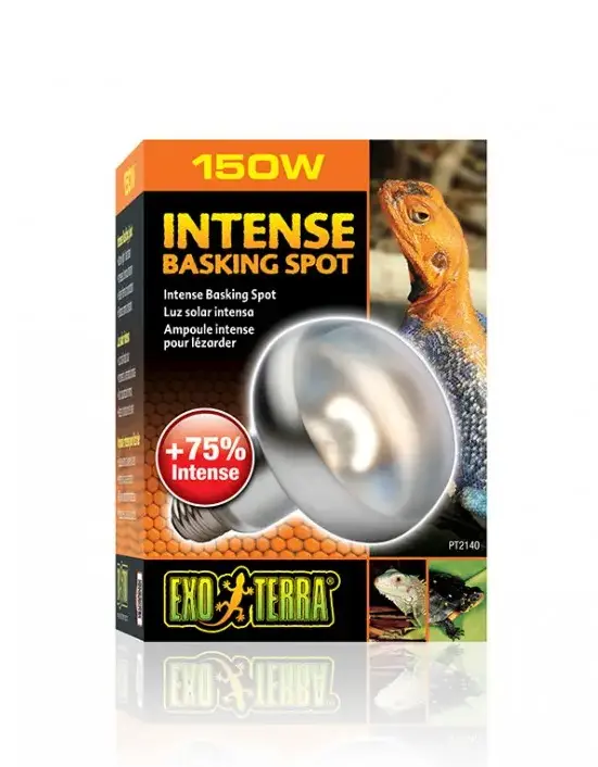 Лампа для баскинга Intense basking spot 150 Вт 95mm. PT2140 фото, цены, купить