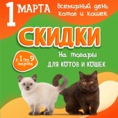 Всемирный  день котов и кошек 