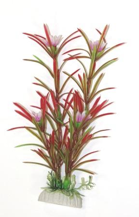 Эйхорния красно-зелёная 20см фото, цены, купить