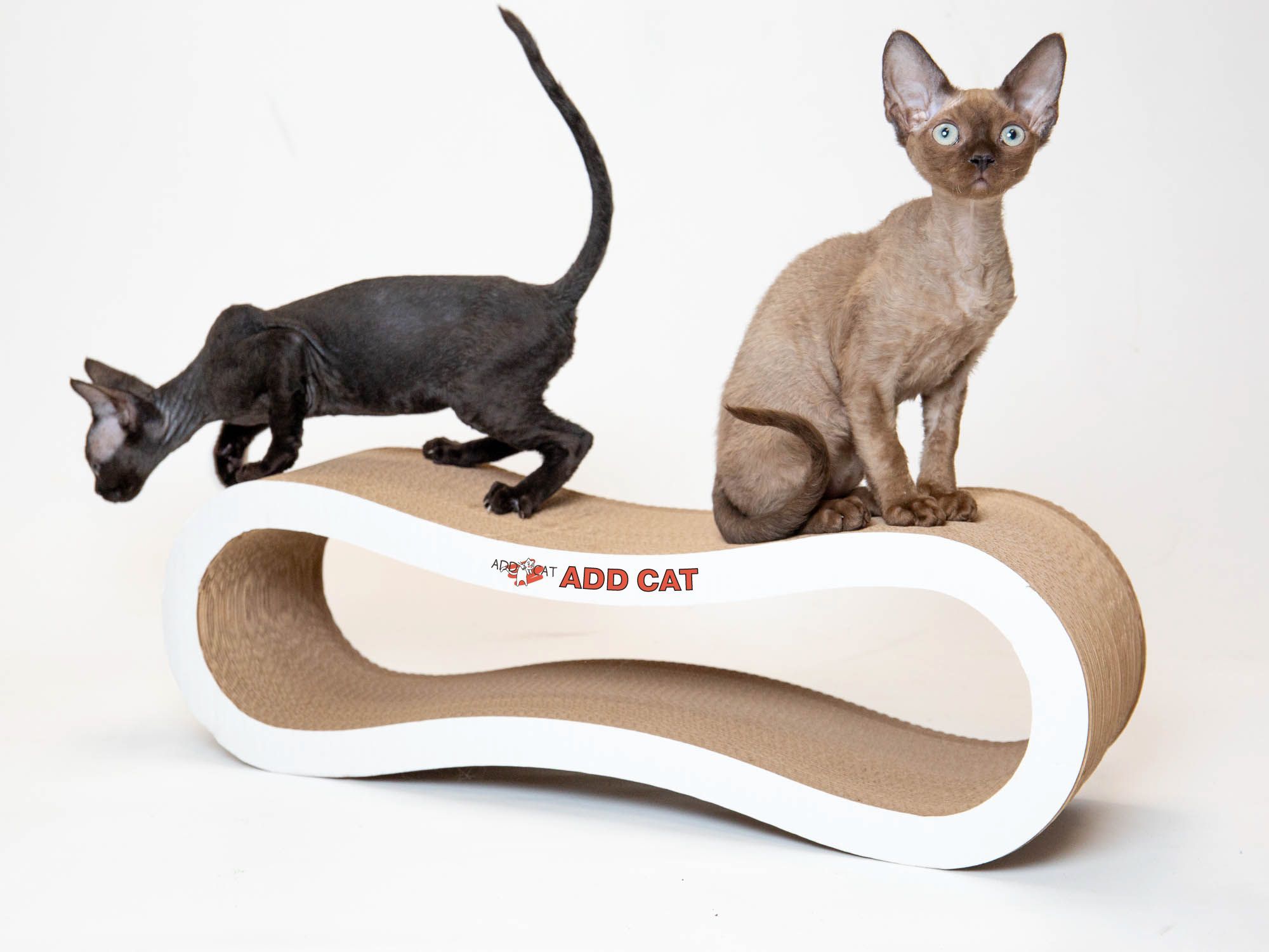 ADD CAT когтеточка картонная Siesta 61*23*18 для кошек