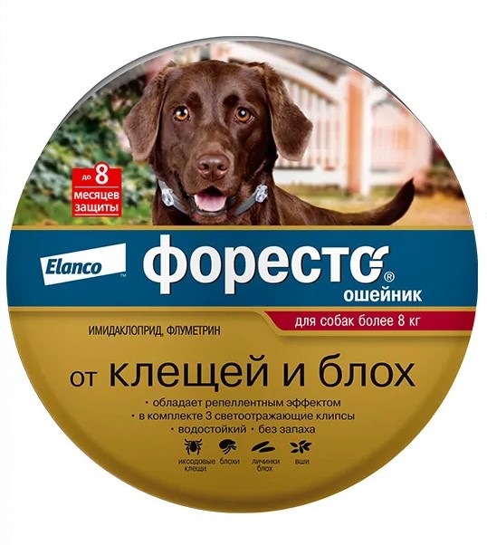 Ошейник Foresto (Форесто) для собак 70см более 8кг (на 8месяцев) фото, цены, купить