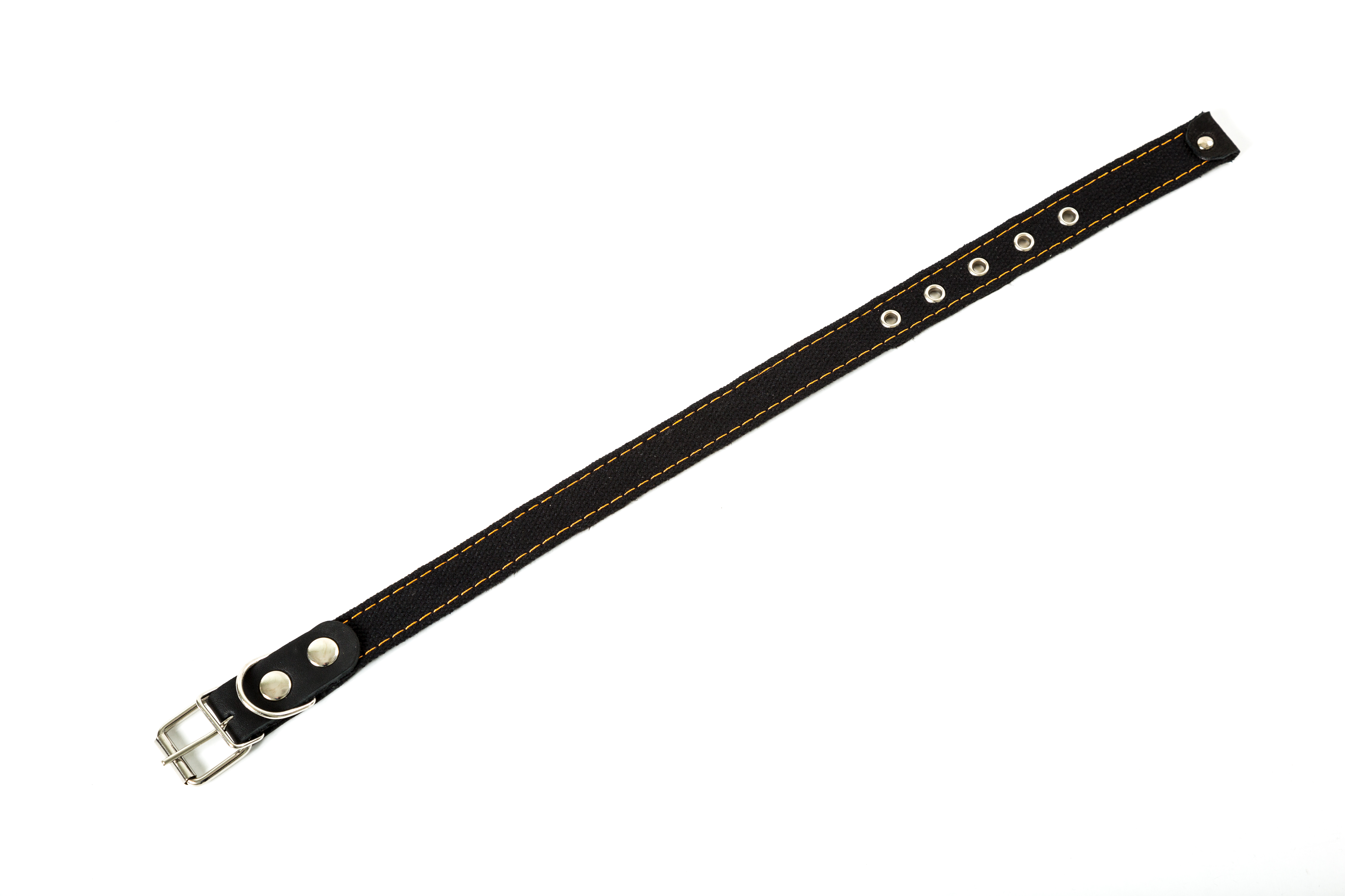 Брезент Ошейник 25мм одинарный Чёрный 53см фото, цены, купить