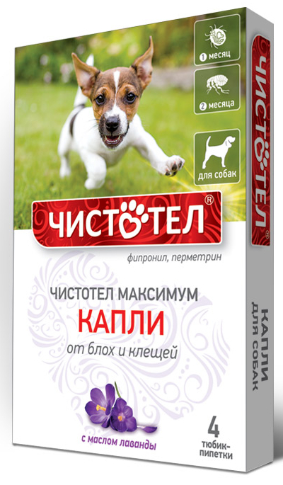 Капли на холку Чистотел Максимум, от блох и клещей, для собак, 4*1 мл фото, цены, купить