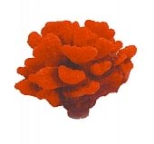 Грот "Коралл красный, жесткий" (12.5*12*10.5) (YM-1103B) фото, цены, купить