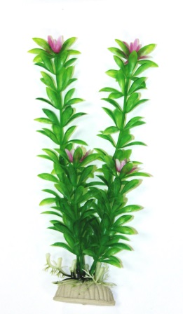 Ротала зелёная с цветочками 20см фото, цены, купить