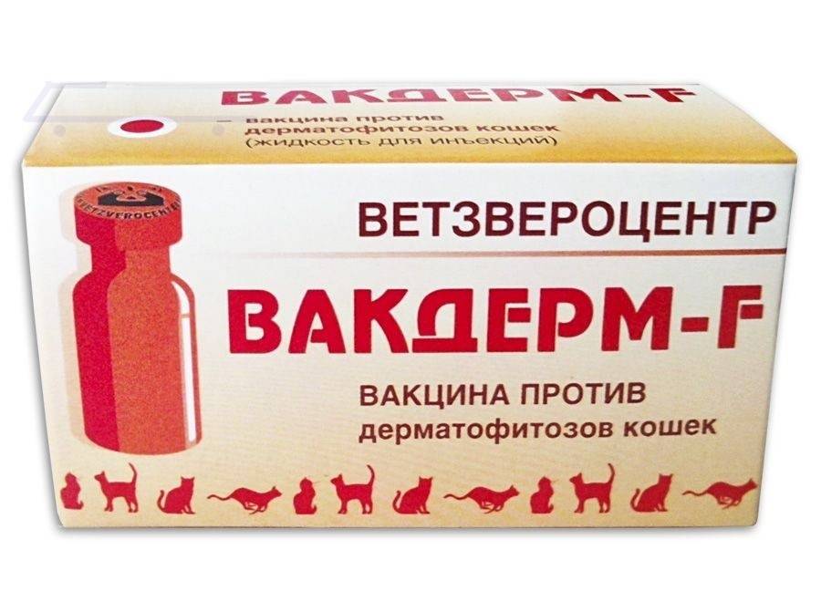 Вакдерм F  для кошек  фото, цены, купить