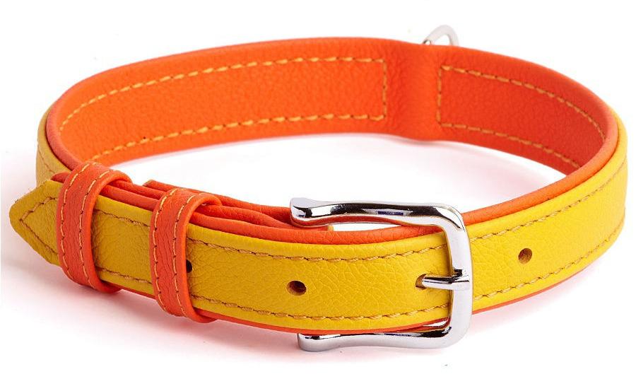 (8871) Before Ошейник Elit двухцветный 25мм 38-47см фото, цены, купить