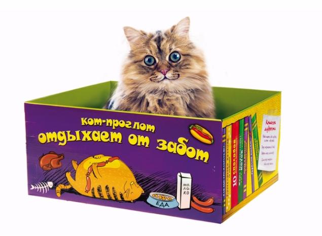 Кошачьи радости: модульные домики для кошек из картонных коробок (12 фото)