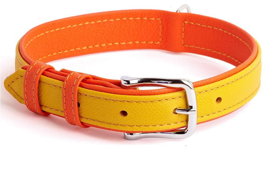 (8891) Before Ошейник Elit двухцветный 35мм 43-56см фото, цены, купить