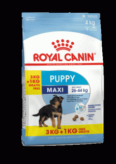 Royal Canin Maxi Puppy для щенков крупных пород c 2мес до 15 мес. 3кг+1кг в подарок фото, цены, купить