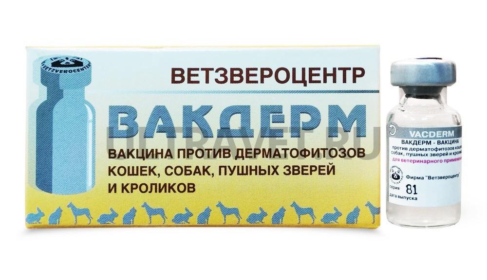 Вакдерм  фото, цены, купить