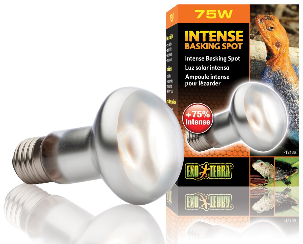 Лампа для баскинга Intense basking spot  75 Вт. 63mm. PT2136 фото, цены, купить