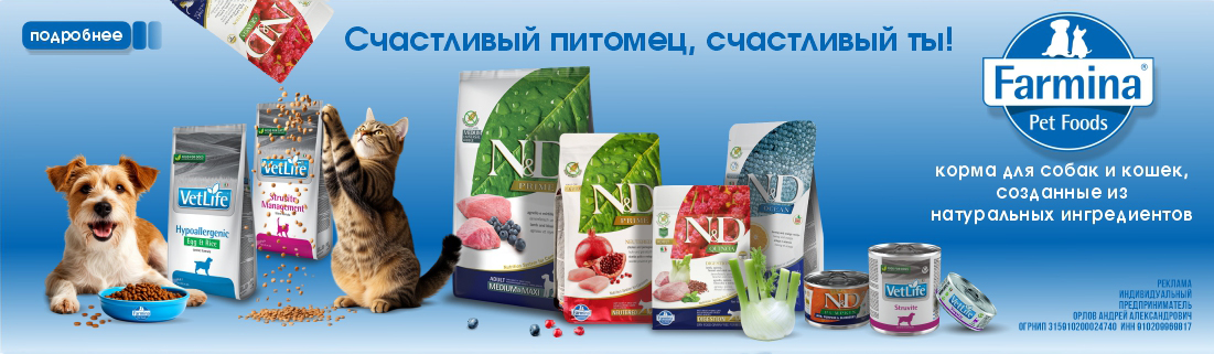 Фармина