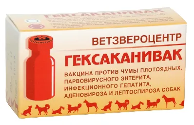 вакцина Гексаканивак фото, цены, купить