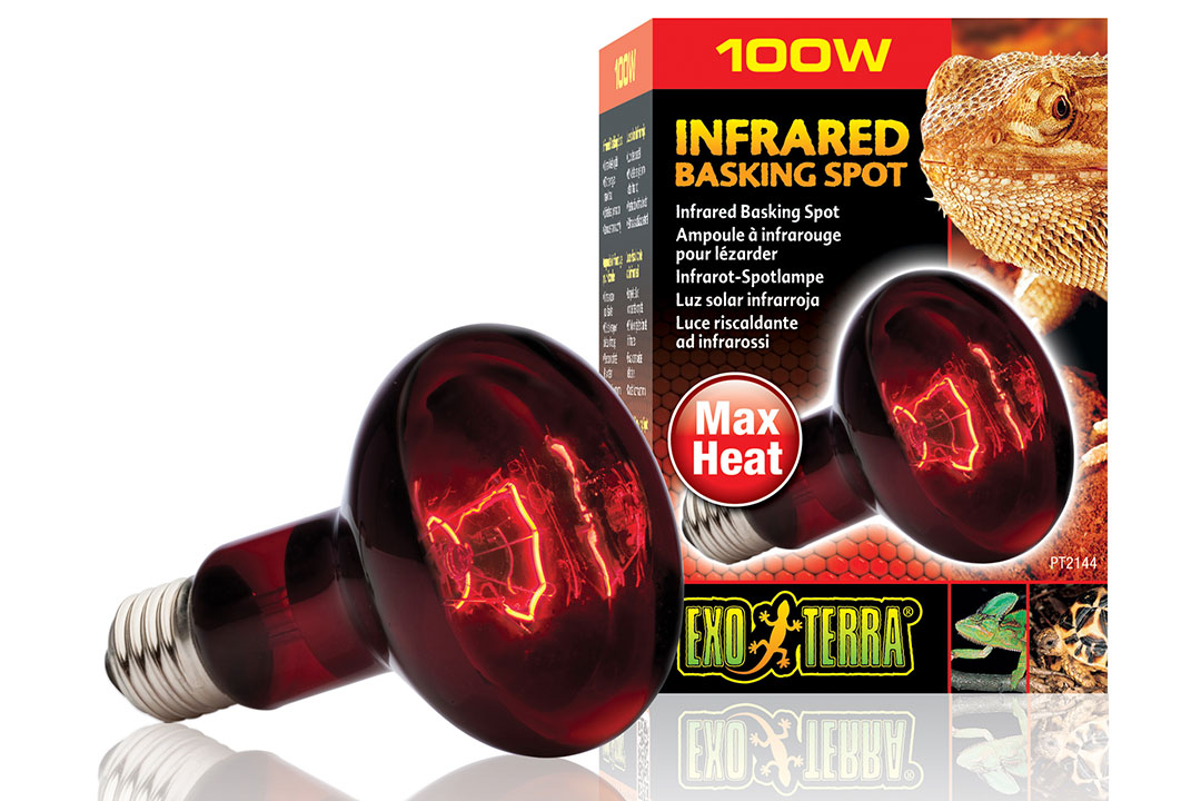 Лампа инфракрасная Infrared Basking Spot 100 Вт. PT2144 фото, цены, купить
