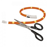 Ошейник Ferplast Светящ Night Over 55см (c USB зарядкой) фото, цены, купить
