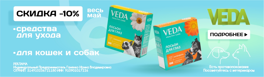 Веда