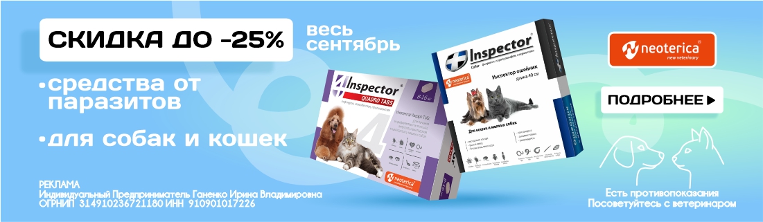 Инспектор