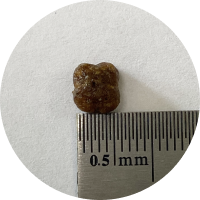 ZooRing Mini Puppy Junior  Ягненок, тыква, рис для щенков мини пород 10кг фото, цены, купить