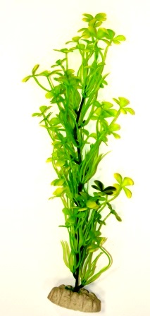 Марсилия салатовая 20см фото, цены, купить