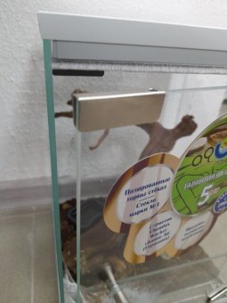 Аква Тоника Террариум "Паук" большой  25*25*35см фото, цены, купить