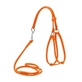 Шлея Collar + Поводок105см WAUDOG Glamour 6мм 26-46/30-50см кожа фото, цены, купить