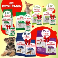 Royal Canin выгодное предложение в августе.