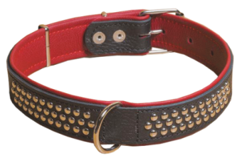 (1460) Before Ошейник Люкс 25мм украшенный.  фото, цены, купить