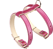 (0048) Before Шлея мелкие породы 16мм        фото, цены, купить