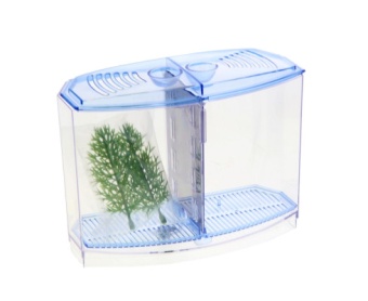 Аквариум для петушков, двойной (BBT3S) фото, цены, купить