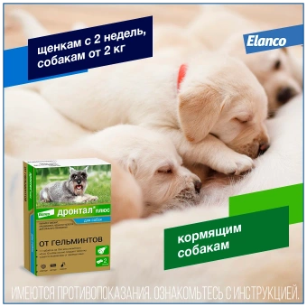 Дронтал Плюс со вкусом мяса для собак (2таб) фото, цены, купить