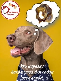 Лакомства "Домашний Рецепт" Ухо Говяжье нарезка 500г фото, цены, купить