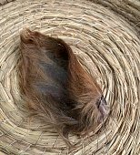 Лакомства AKARA BAR Уши говяжьи 500г фото, цены, купить