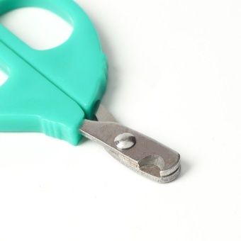 Ножницы-когтерезы малые с упором для пальца, голубые   6960805 фото, цены, купить