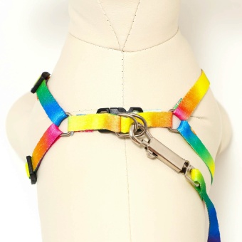 Комплект "Радуга", капрон, поводок 120 х 1 см, ОГ 24-34 см, разноцветный фото, цены, купить