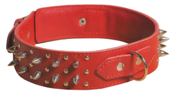(1762) Before Ошейник 50мм Шипы 65-72см Большой фото, цены, купить