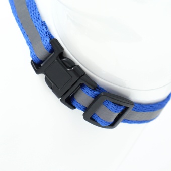 Комплект для кошек светоотражающий,ширина 1 см,шлейка 21-35 см,поводок 120 см, синий фото, цены, купить