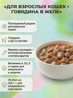 Пауч SHELIVIA Говядина,Морковь,Розмарин в желе для кошек 85г фото, цены, купить