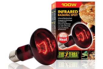 Лампа инфракрасная Infrared Basking Spot 100 Вт. PT2144 фото, цены, купить