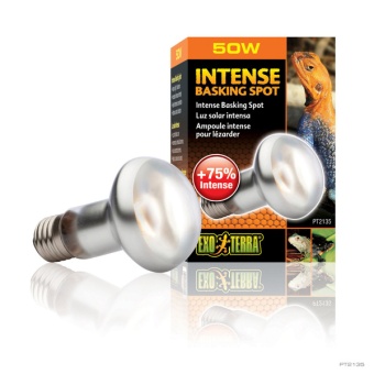 Лампа для баскинга Intense basking spot  50 Вт. 63mm. PT2135 фото, цены, купить