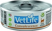 Farmina VetLife Convalescence Консервы паштет  85г в период востановления для кошек фото, цены, купить