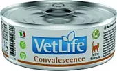 Farmina VetLife Convalescence Консервы паштет  85г в период восстановления для кошек фото, цены, купить