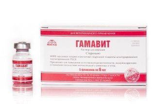 Гамавит 10мл 5фл в упаковке фото, цены, купить
