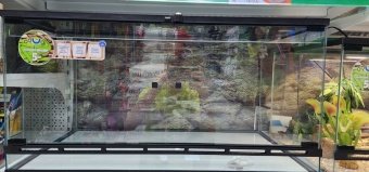 Аква Тоника Террариум Агама 80*45*40см фото, цены, купить